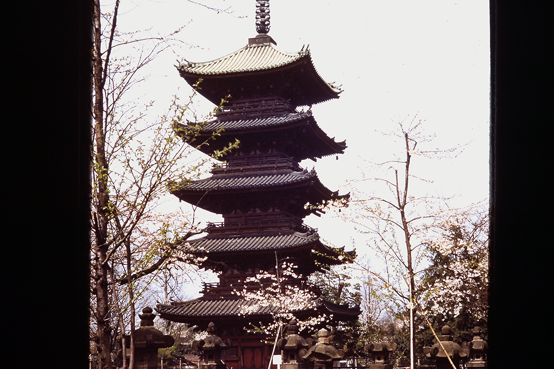 Japan 1954